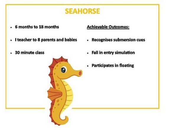 Seahorse Infant Swimming Program Aquatic academy