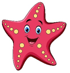 STARFISH - infant swimming level
