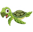 Turtle kids swimming lessons