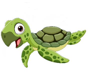 Turtle kids swimming lessons